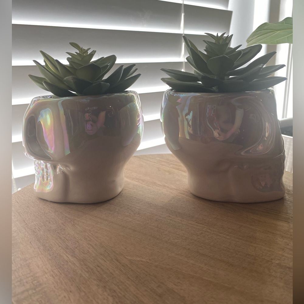Iridescent Skull Planters with Faux Succulents Halloween Decor - Picture 3 of 8